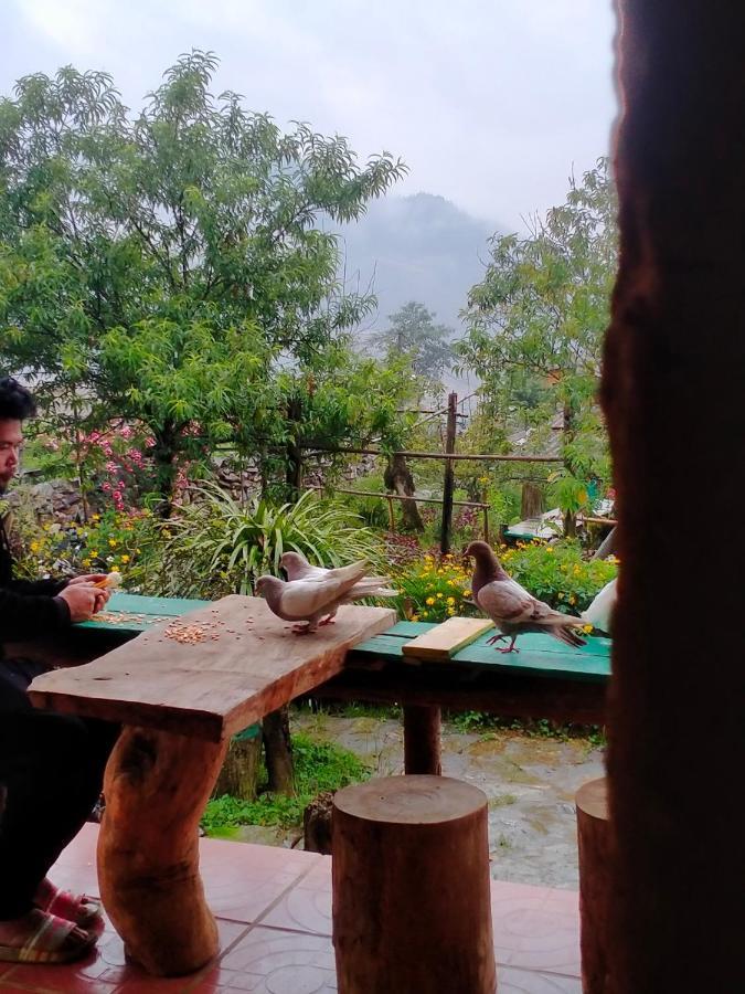 H'Mong Co Tran Sapa Homestay Екстер'єр фото