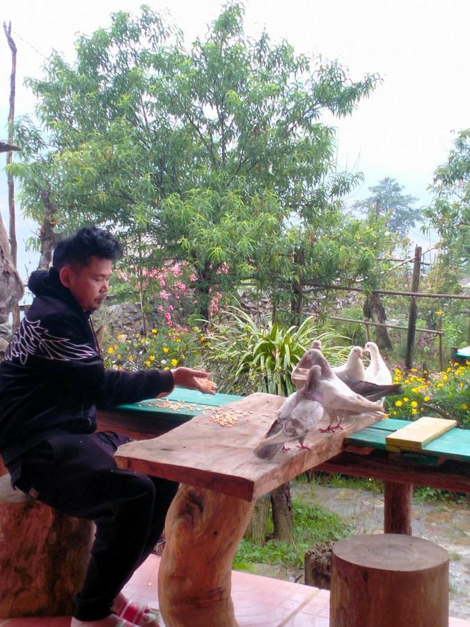 H'Mong Co Tran Sapa Homestay Екстер'єр фото