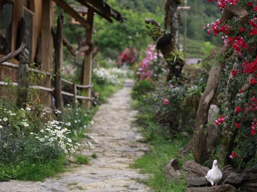 H'Mong Co Tran Sapa Homestay Екстер'єр фото