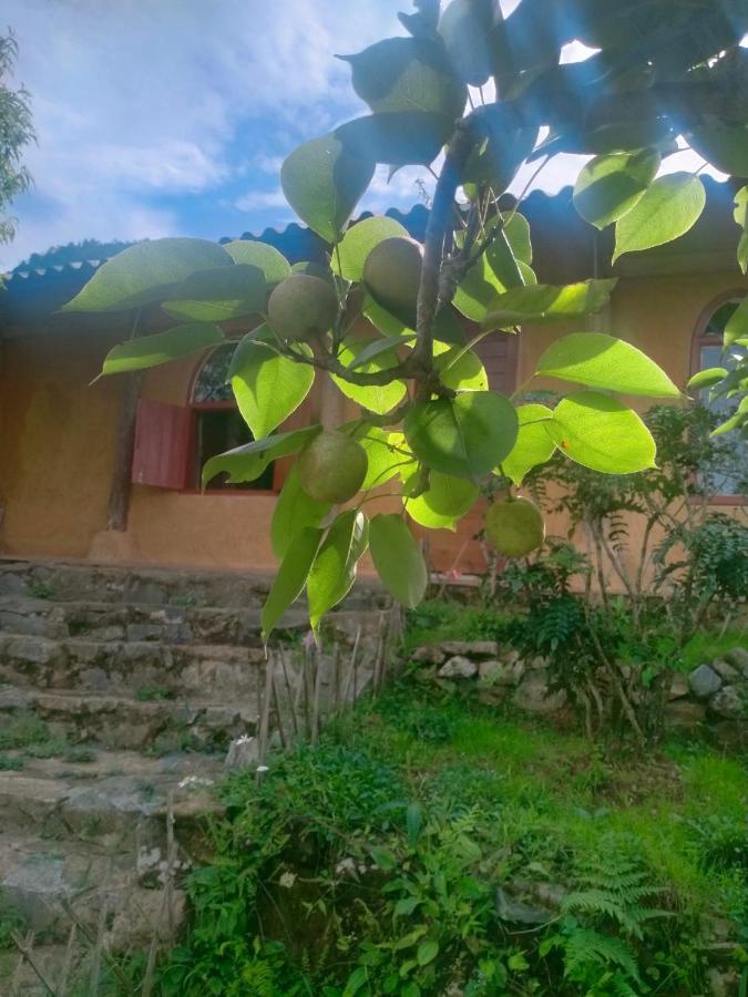H'Mong Co Tran Sapa Homestay Екстер'єр фото
