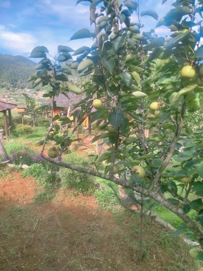 H'Mong Co Tran Sapa Homestay Екстер'єр фото